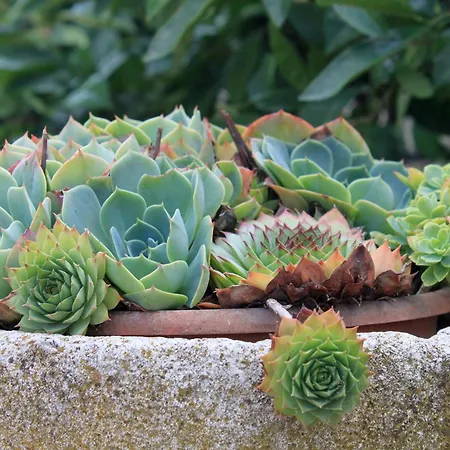 By The Sea Lumbarda, Korcula - 9295 Appartement *