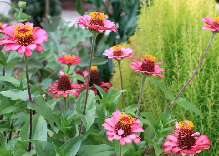 By The Sea Lumbarda, Korcula - 9295 아파트 룸바르다