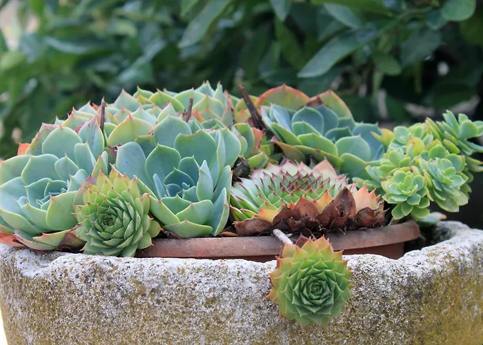 By The Sea Lumbarda, Korcula - 9295 아파트 *
